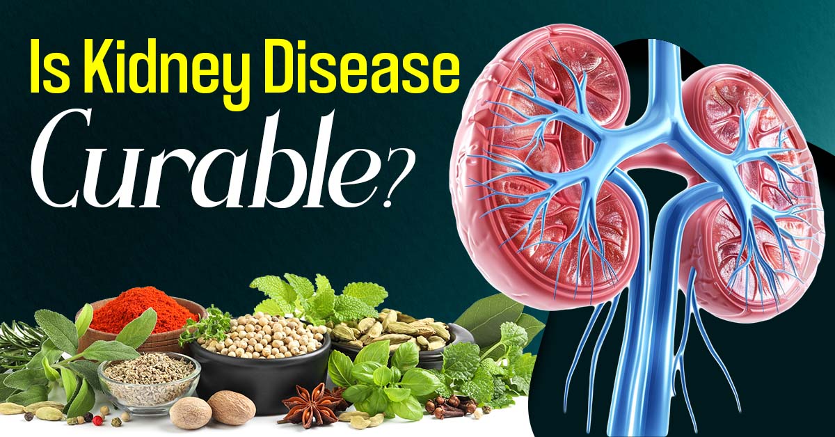 Is Kidney Disease Curable?